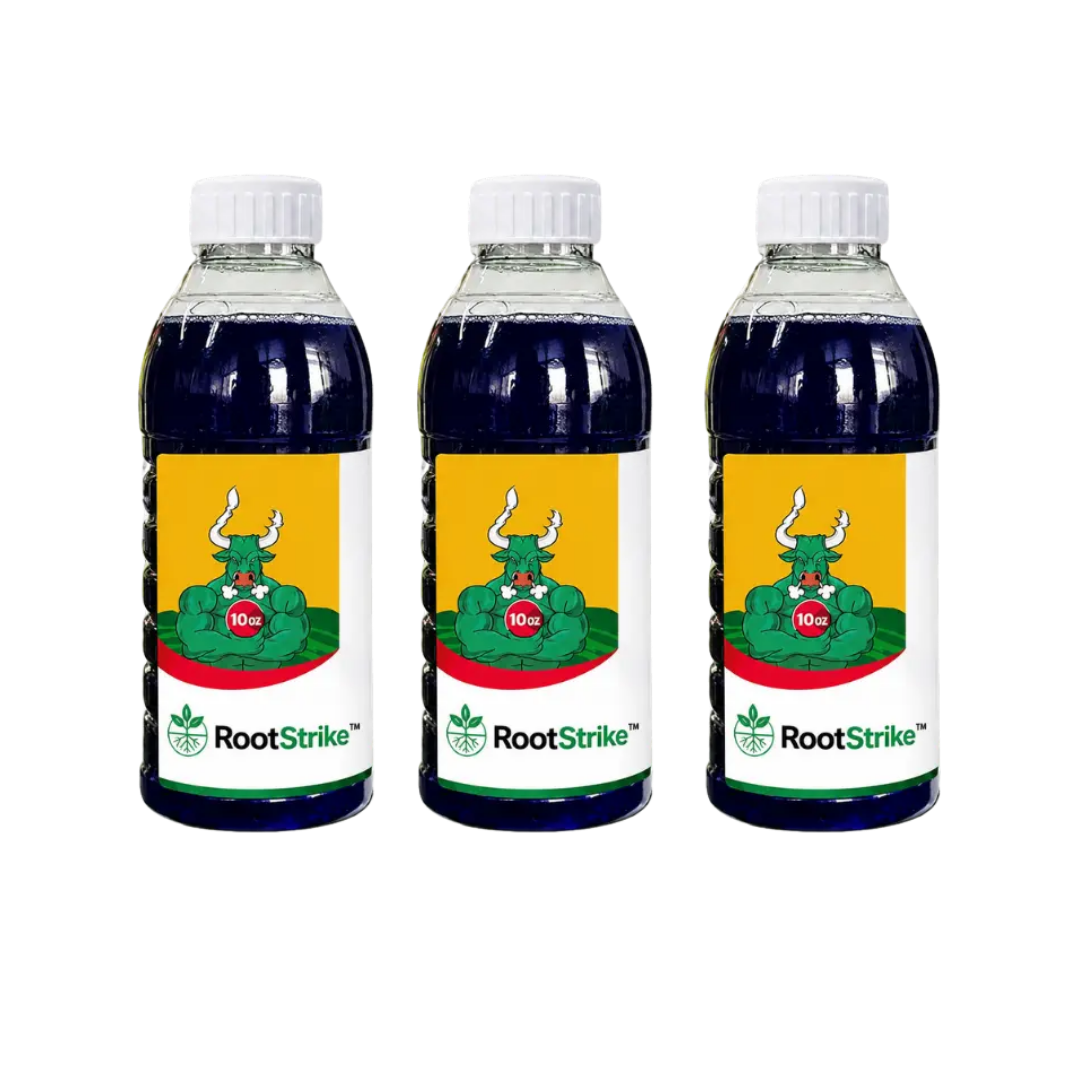 RootStrike