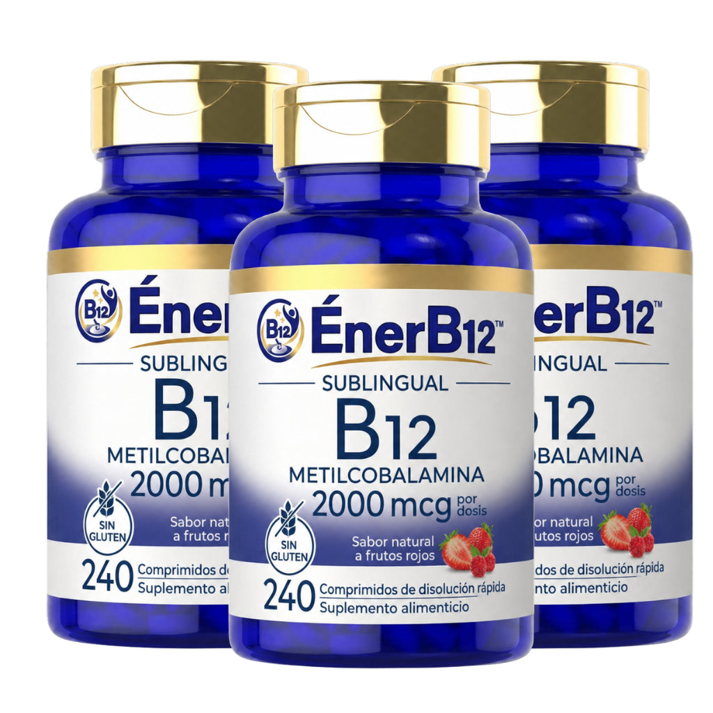 EnerB12