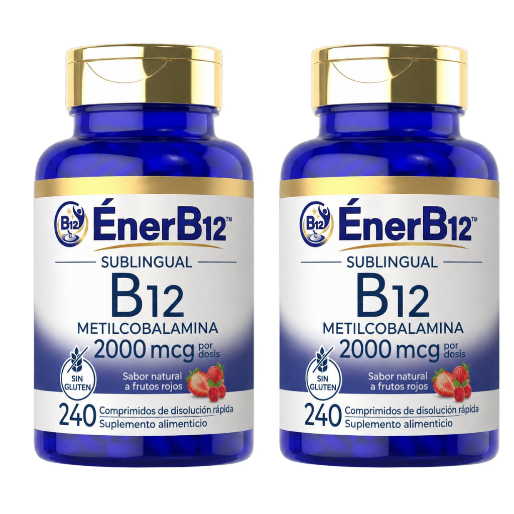 EnerB12